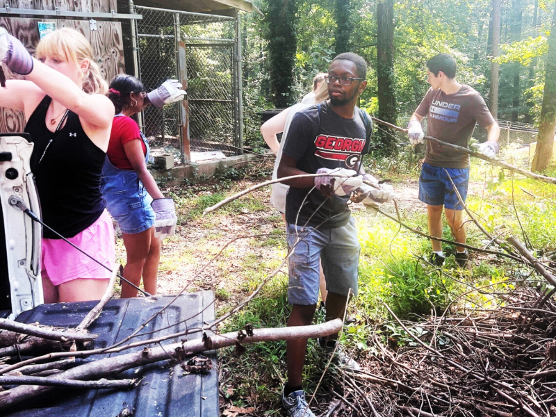 UGA students volunteer at Bear Hollow Zoo