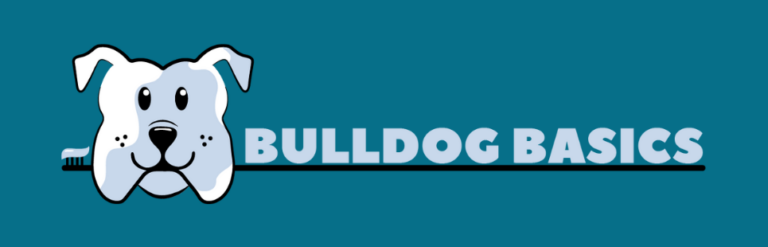 Bulldog Basics - UGA Office for Student Success and AchievementUGA ...