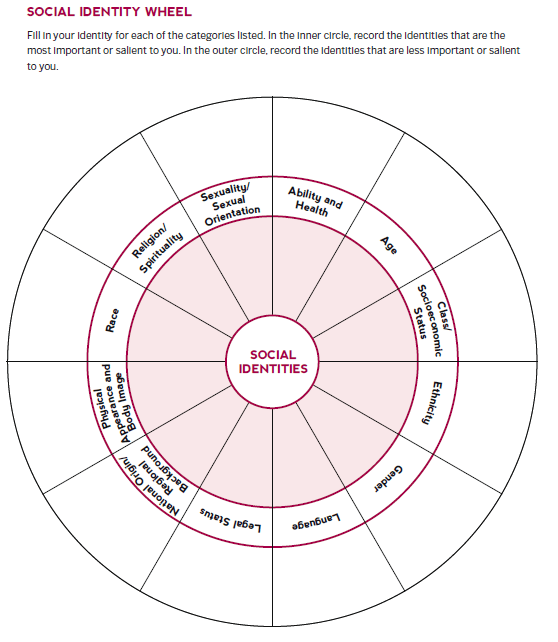 Image of "Social Identity Wheel"