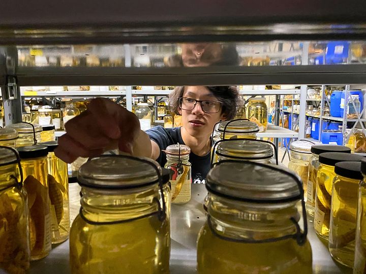 Student works in science lab during Thrive at Georgia