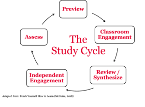 Study Cycle infographic